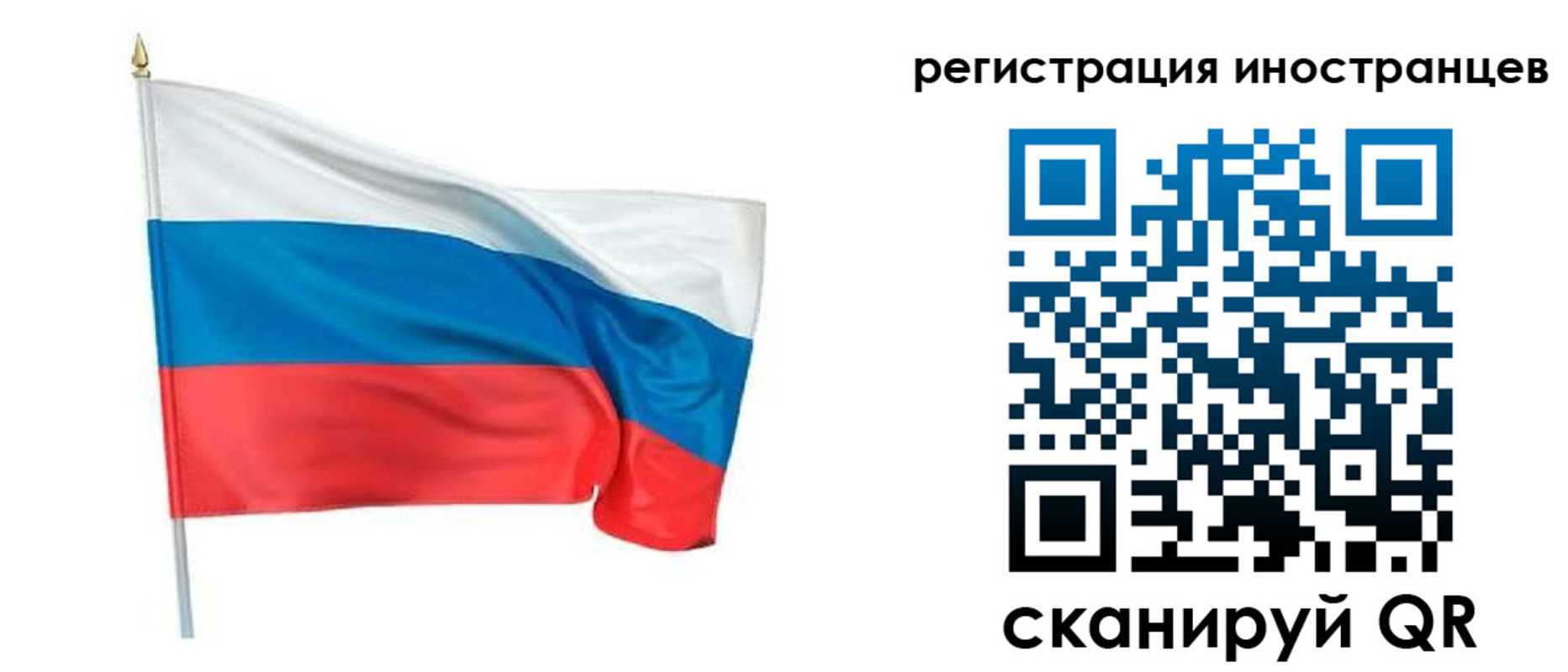 прописка 2025 в Новгородской области